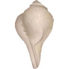 No Blowing Type Shankh